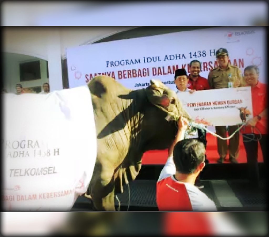 Telkomsel Serahkan Lebih Kurang 40 Ribu Hewan Kurban Tahun 