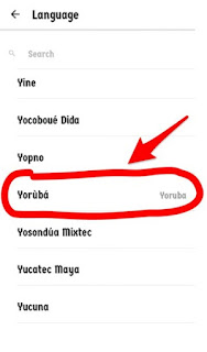 Download-Yoruba-Igbo-and-Hausa-Bible-To-Your-Mobile-Phones