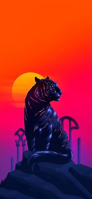 Wallpaper iPhone - Aesthetic Tiger