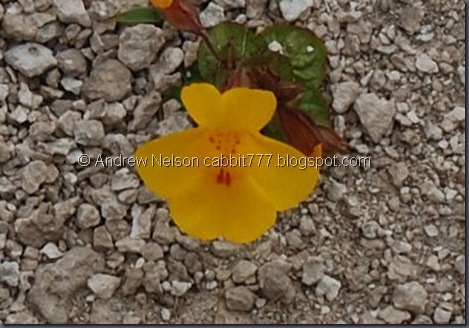 Copy of DSC_0327