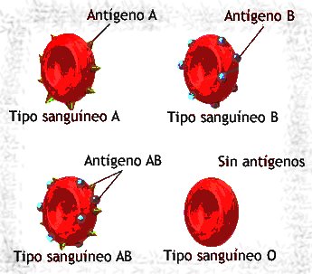 La conjugaison du verbe allemand kennen - Majstro