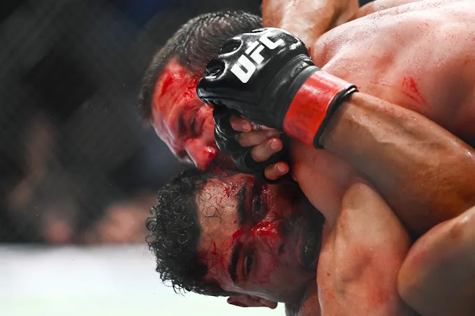 ‘Weirdest fight I’ve ever seen‘: Fighters react to Paulo Costa and Luke Rockhold’s war, Rockhold retirement