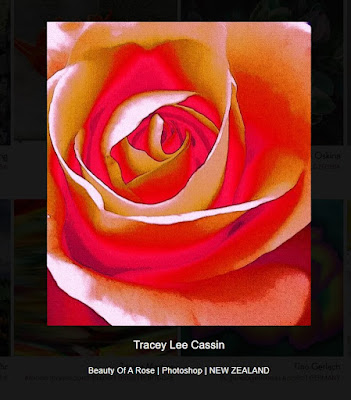 Tracey Lee Cassin