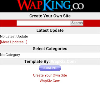 Wapking.co CSS Code Download