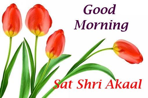  Good Morning Sat Shri Akaal 