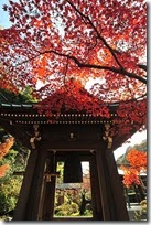 japan 24