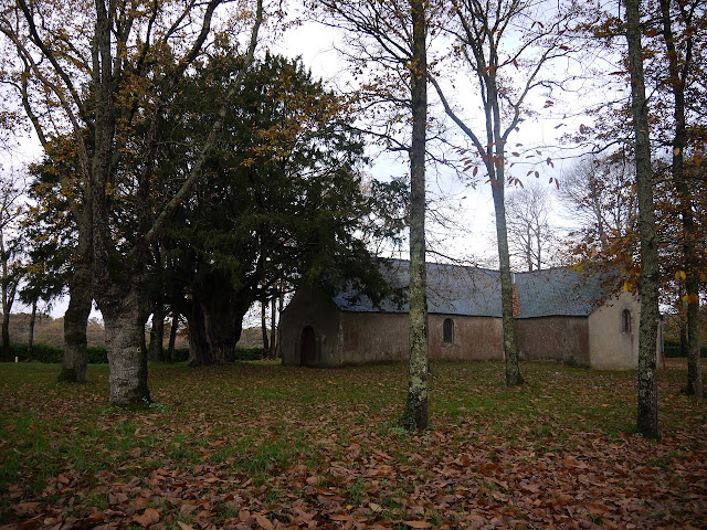 à Sainte-Marie l'if de Saint-jean l'épileur est classé parmi les arbres remarquables