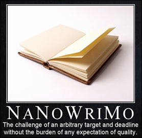 nanowrimo quality