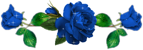 flores (20)