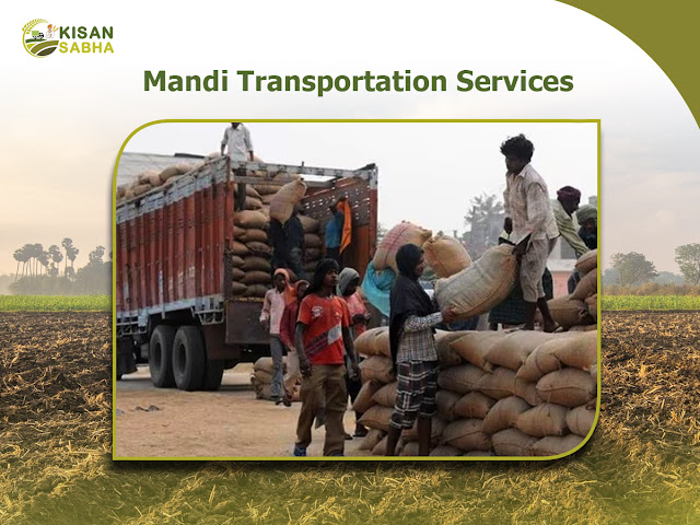 Mandi transportation services