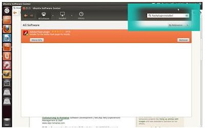 Type flashplugin-installer in the space provided for search and press enter