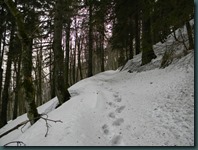 DSCN6434