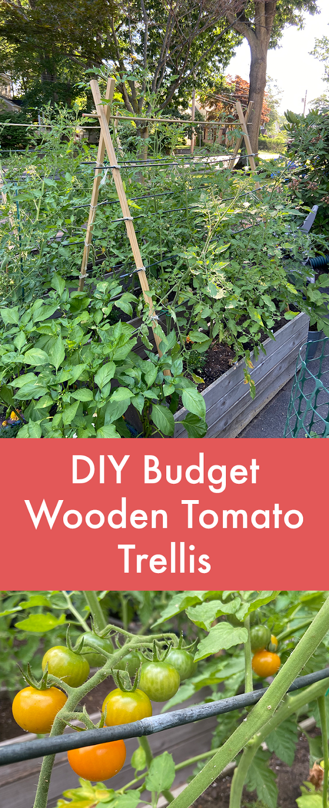 In Color Order: Tutorial: DIY Budget Wooden Tomato Trellis