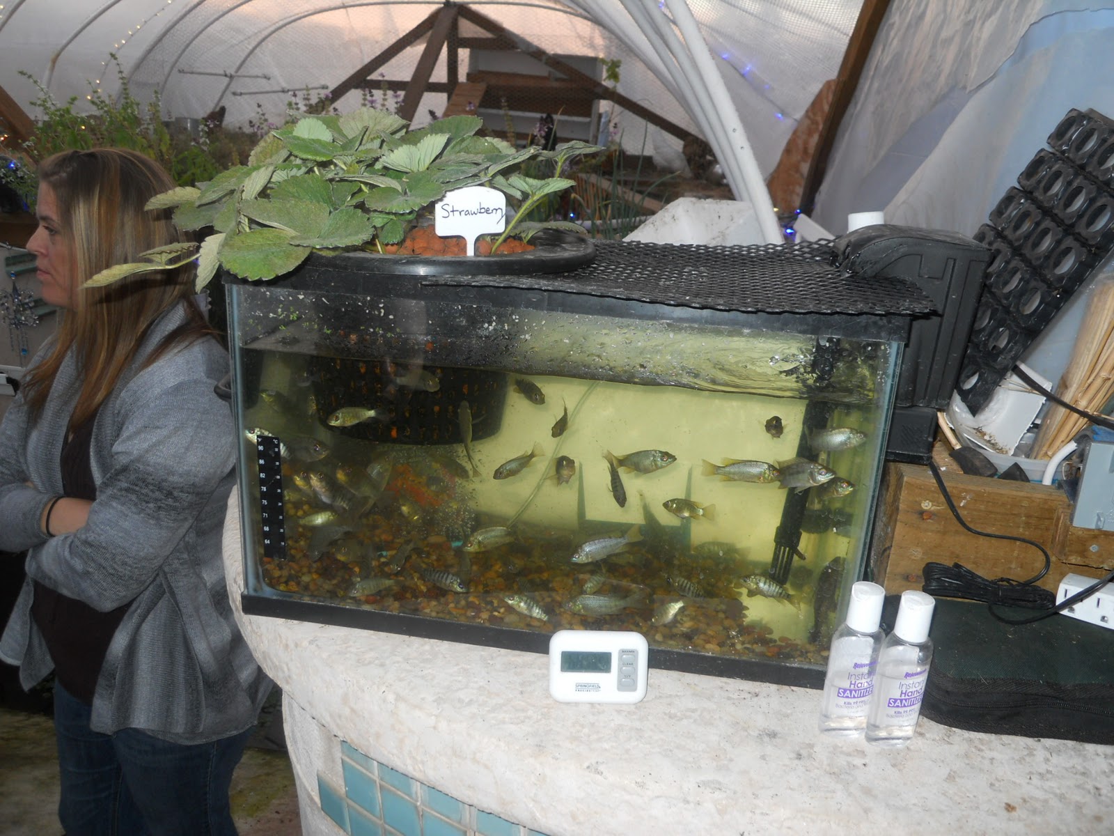 Aquaponic Gardening System