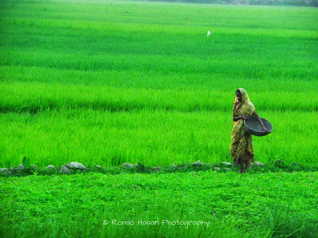 Beautiful Bangladesh 