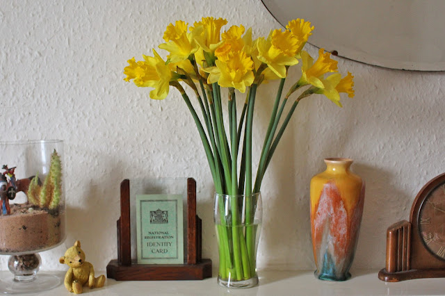 Wendy's Week - Photography & Films - Daffodils
