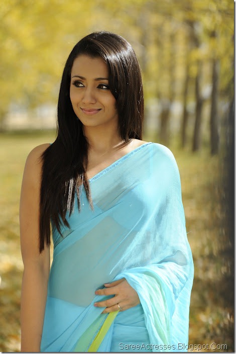 Trisha Krishnan Hot Photos in Blue Saree 5