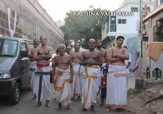 Parthasarathy Perumal, Maasi Sravanam, Thiruvonam Purappadu,  Trplicane,  Purappadu, Thiruvallikeni, Utsavam, 