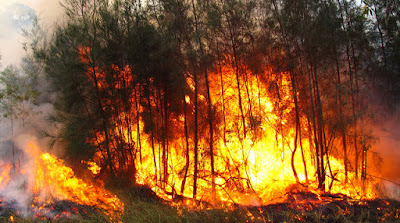 Incendio descontrolado