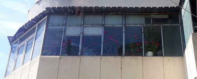 Balconul cu mușcate