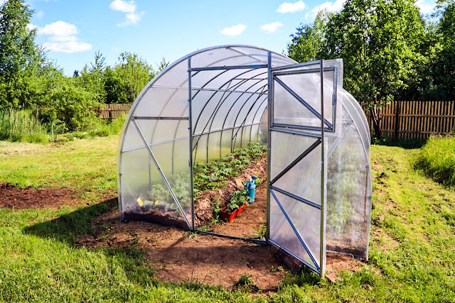 How to Build Your Own Greenhouse