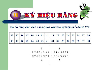 Diễn biến mới vụ Luật sư Võ Thị Tiết tố cáo bị “hành hung” tại Tòa.