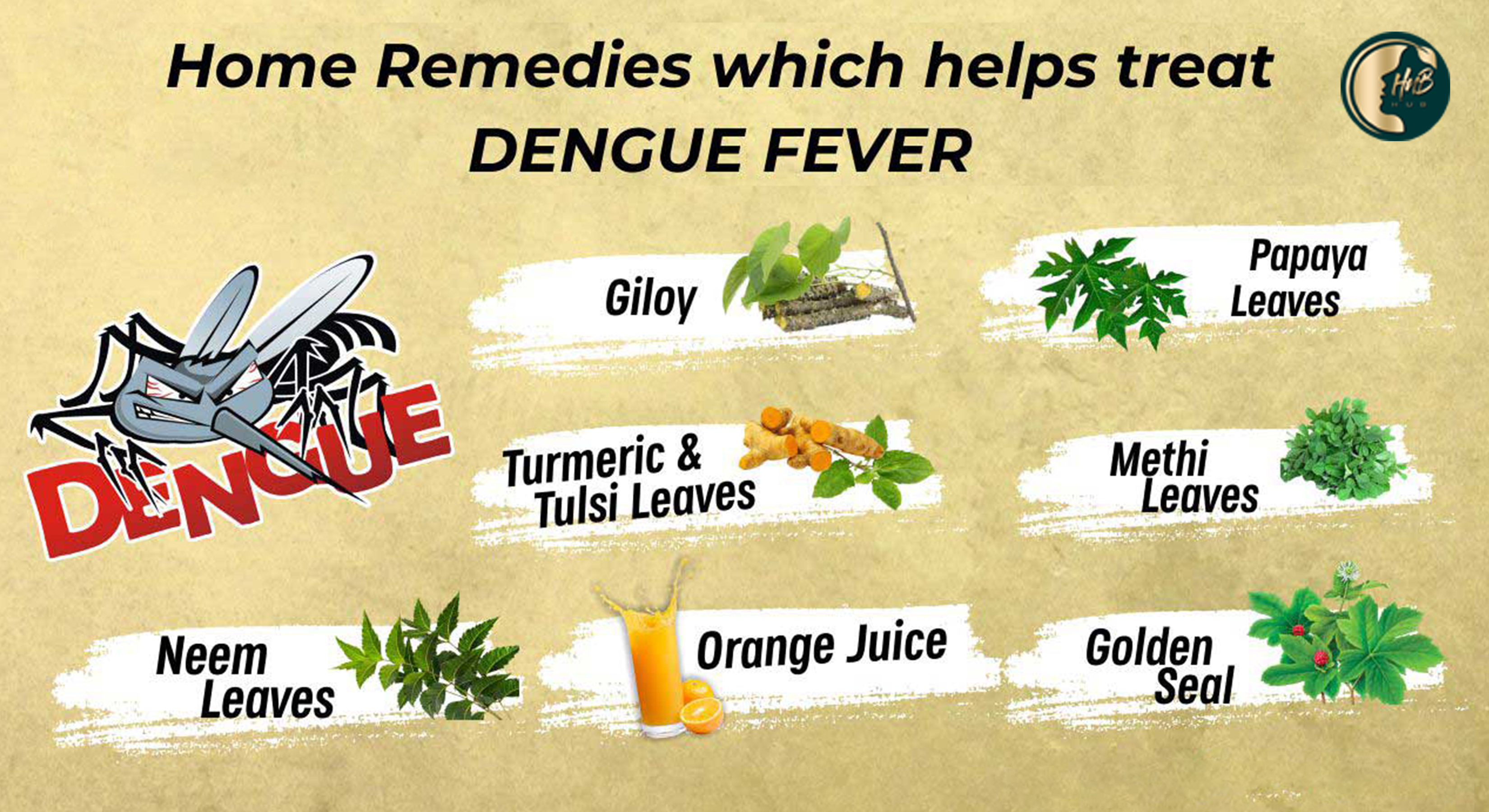 Symptoms for Dengue Fever । Home Remedies for Dengue Fever । dengue fever vaccine । dengue fever treatment । Health n Beauty HuB
