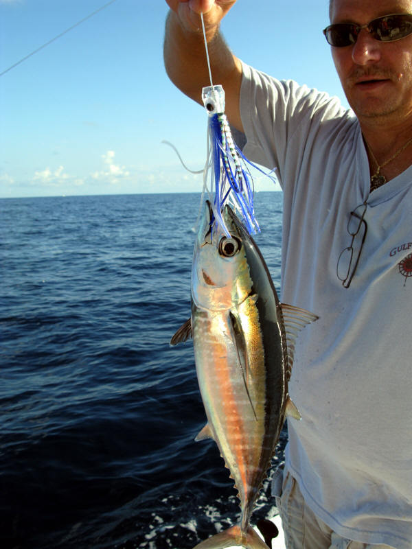  mancing ikan  Teknik Mancing  Tuna