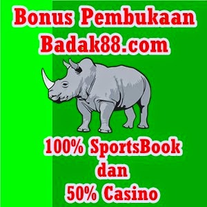 Agen Casino Promo 100%