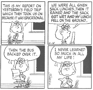 sally brown school report learning