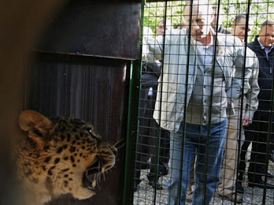 Cute Photo of Vladimir Putin with Animal Seen On  www.coolpicturegallery.us