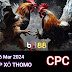 Xem Đá Gà Thomo CPC3 - 26/03/2024 – Trực Tiếp và Tổng Hợp