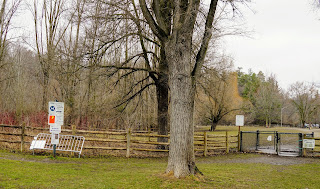 Trail begins on the far side of the fenced in park.