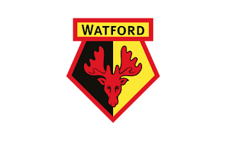 Prediksi AMT Watford 28 July 2018