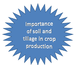 Importance Of Soil And Tillage In Crop Production