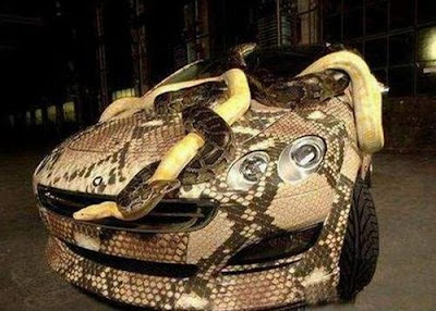 Snake Car - Covered in Vinal Wrap and 