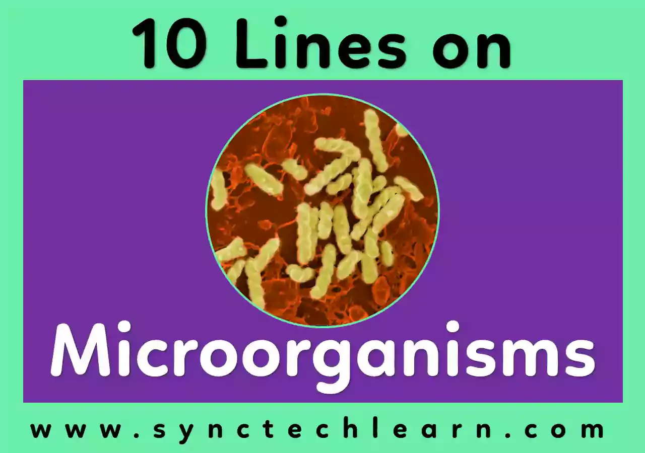 Few lines about Microorganism