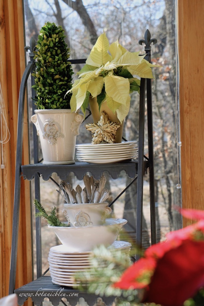 Poinsettias are even prettier on my French Country plate stand  when displayed in a gold painted clay pot with a gold boxwood star