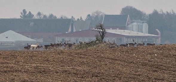2014-03-23 14.02.25