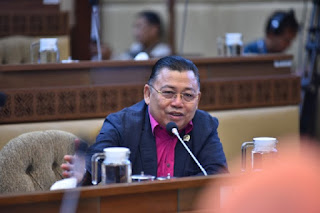 Mulai Merasakan Ada yang Aneh dengan IKN, Anggota Komisi II DPR RI Bersama Para Pakar Kritisi UU IKN 