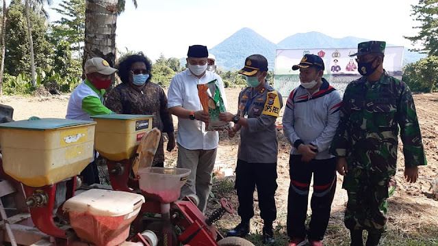 Forkopimda Halmahera Barat Gelar Penanaman Padi Sawah Kering dan Jagung di Gomomeng