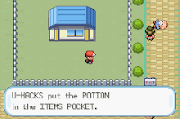 Pokemon Zoala screenshot 06