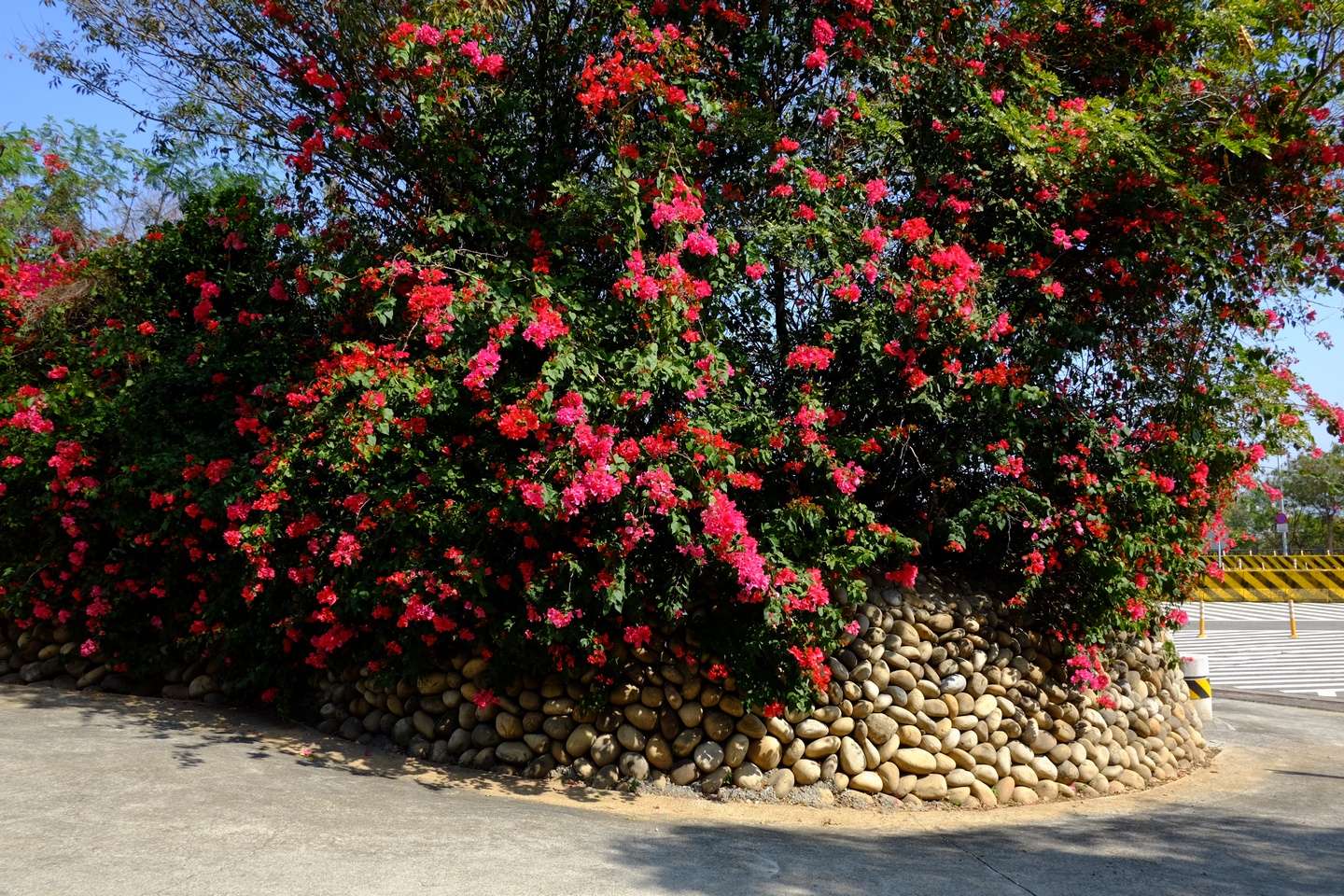 中部景點 東大公園