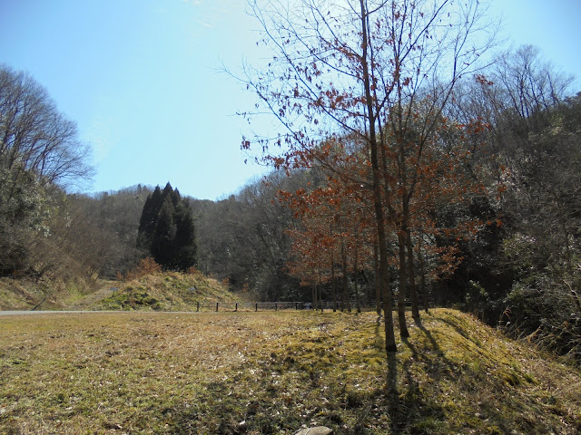 森林公園キャンプ場