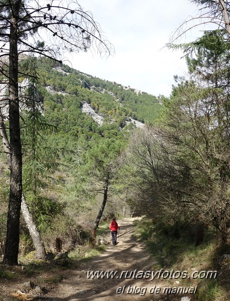 Sendero El Bosque - Benamahoma - Grazalema