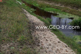 Watering for beasts in Puszcza Nalibocka