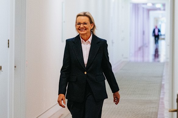 Sussan Ley becomes first woman to lead Australia's Liberal Party after election defeat .