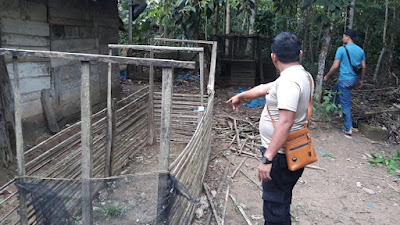 Polisi Gerebek Lokasi Judi Sabung Ayam di Tulang Bawang