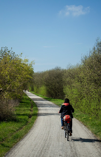 tulip ride