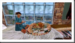 Snapshot_007